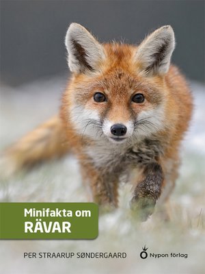 cover image of Minifakta om rävar